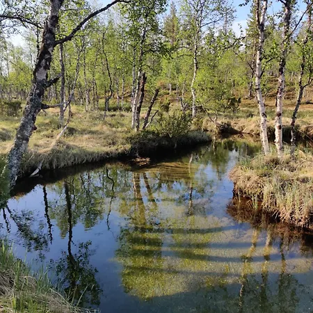 Dağ evi Kivakko Saariselaen Paratiisi - Oma Ranta & Sauna