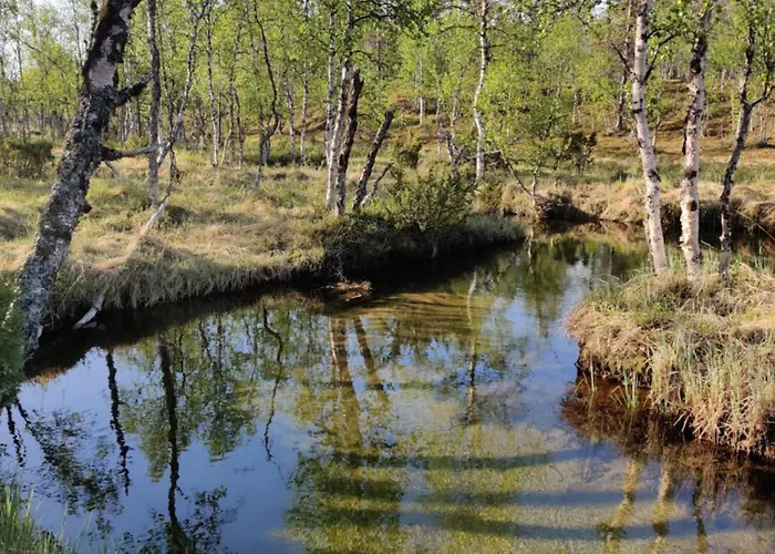 Chalé Kivakko Saariselaen Paratiisi - Oma Ranta & Sauna